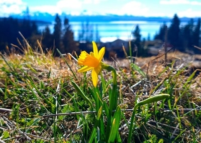 A Time for Renewal