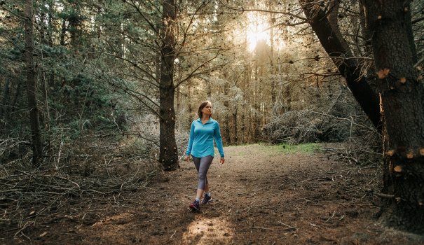 Shinrin Yoku ~ Forest Bathing