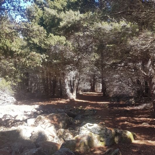 Forest Bathing Track and Glacial Mill