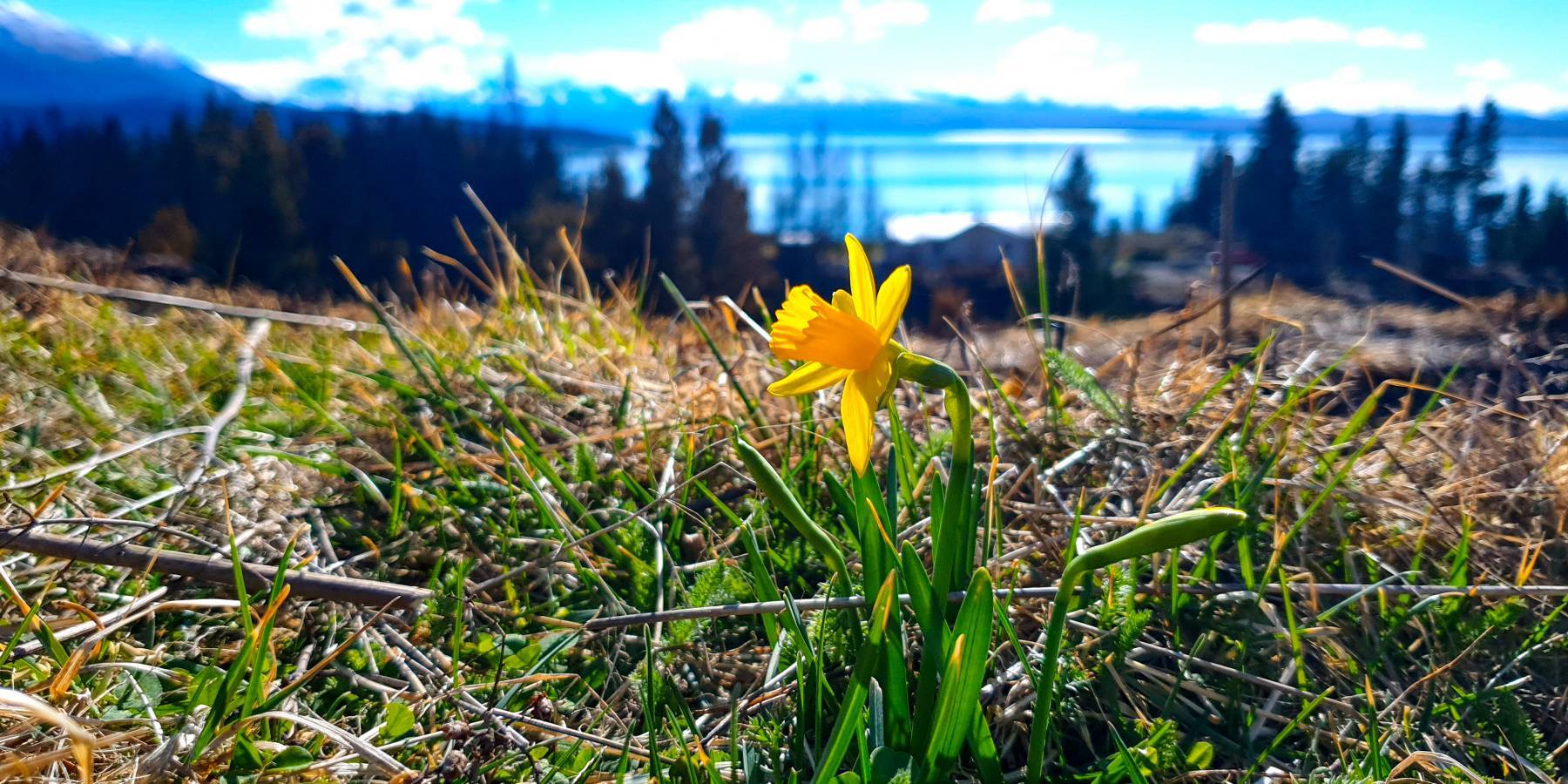 a time for renewal mt cook lakeside retreat