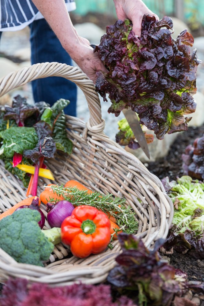 dine at mt cook lakeside retreat
