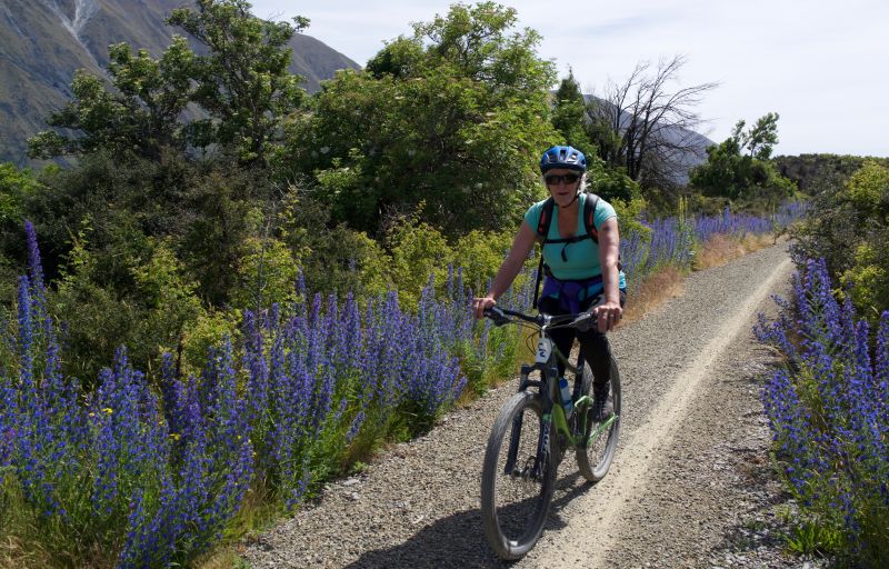 gentle cycling on alps 2 ocean cycle trail near mt cook lakeside retreat