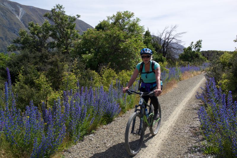 Cycling