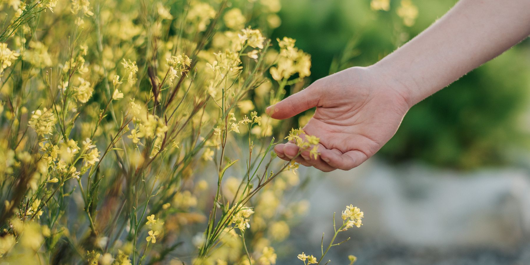 Two Night Wellness Escape