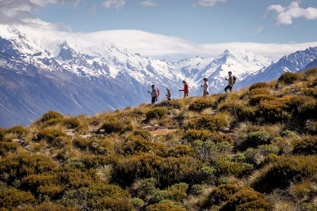 High Country Heli Hike