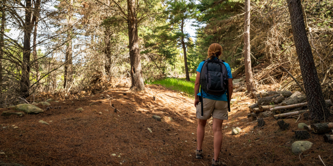 Guided Nature Walk and Picnic